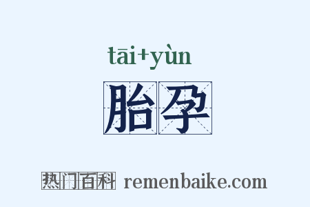 胎孕是什么意思的图片